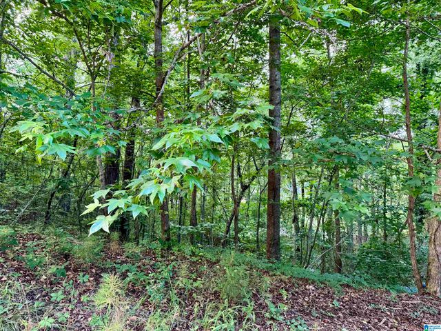 Lot 10 COUNTY ROAD 2565, Wedowee, AL 36278