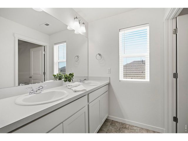 803 Elias Tarn Dr, Severance, CO 80550