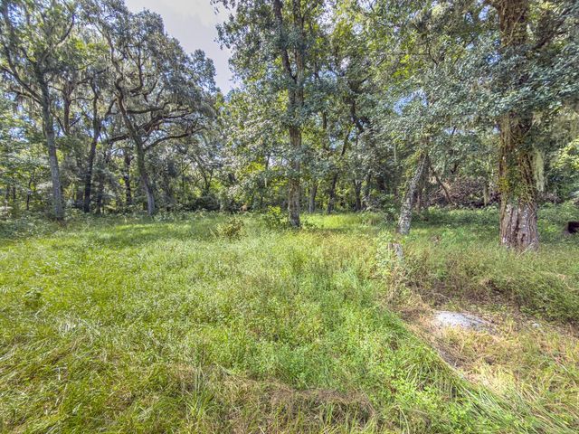 6177 COUNTY RD 625, Bushnell, FL 33513