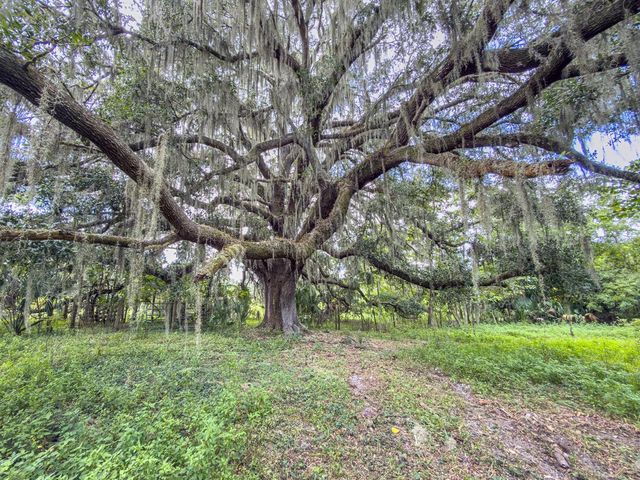 6177 COUNTY RD 625, Bushnell, FL 33513