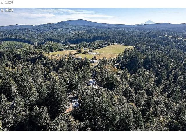 42912 E LARCH MOUNTAIN Rd, Corbett, OR 97019