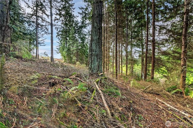 36 Dunbar Court, Port Ludlow, WA 98365