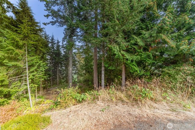 36 Dunbar Court, Port Ludlow, WA 98365