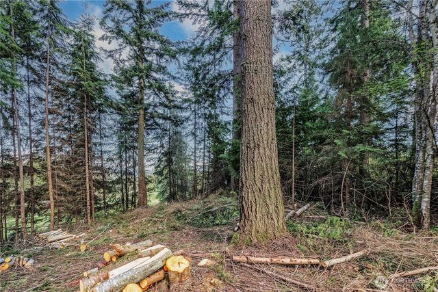 36 Dunbar Court, Port Ludlow, WA 98365