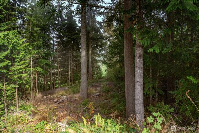 36 Dunbar Court, Port Ludlow, WA 98365