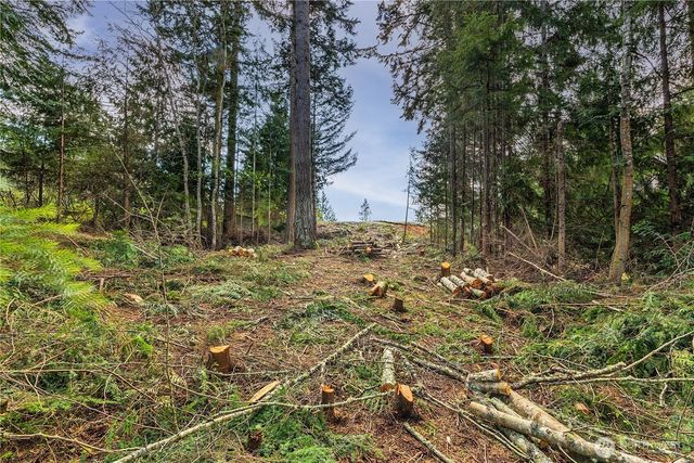 36 Dunbar Court, Port Ludlow, WA 98365