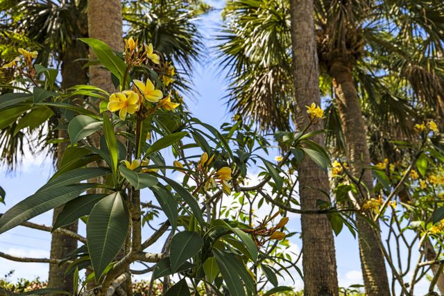 8785 Thousand Pines Circle, West Palm Beach, FL 33411