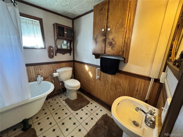 119 Tabor Street, Buena Vista, CO 81211