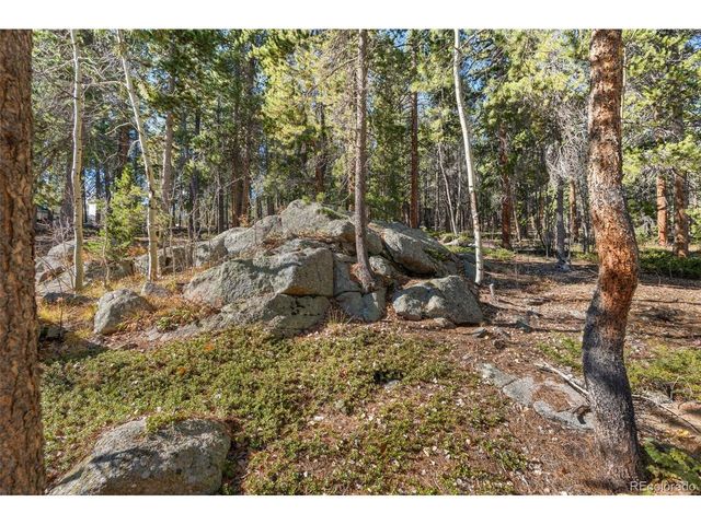 726 Mountain Meadows Dr, Black Hawk, CO 80422