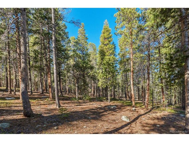 726 Mountain Meadows Dr, Black Hawk, CO 80422