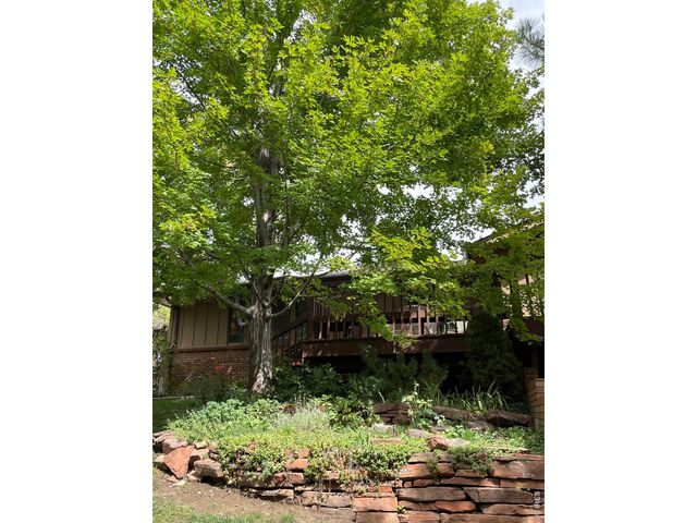 1123 Fordham St, Longmont, CO 80503