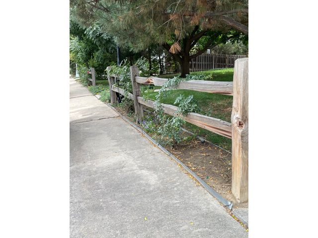 1123 Fordham St, Longmont, CO 80503