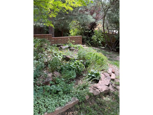 1123 Fordham St, Longmont, CO 80503