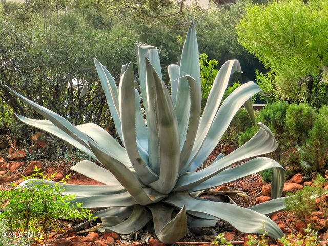 50 MOGOLLON Drive, Sedona, AZ 86336