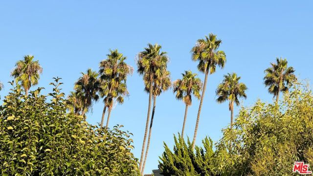 2551 S Bentley Avenue, Los Angeles, CA 90064
