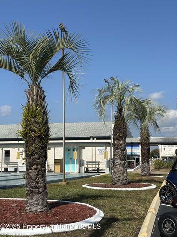 8348 Highpoint Boulevard, Brooksville, FL 34613