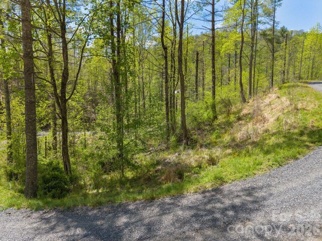 0000 Mountain Crest Drive 18, Bakersville, NC 28705