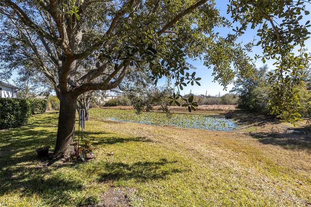 Image 31 of property listing at 11222 PORT DOUGLAS DRIVE, New Port Richey, FL 34654