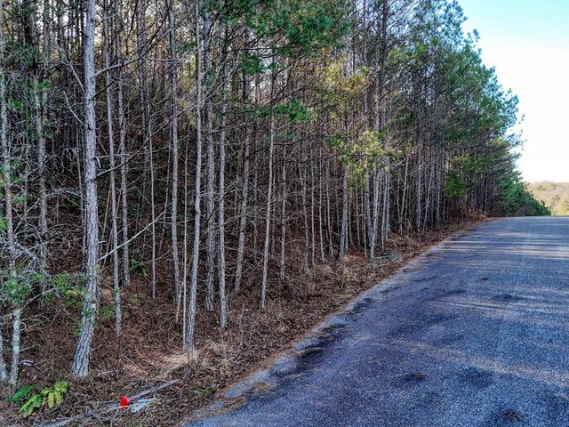 Lot 14 Pinehurst, Blairsville, GA 30512