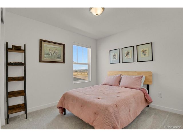 14118 Red Cosmos St, Parker, CO 80134