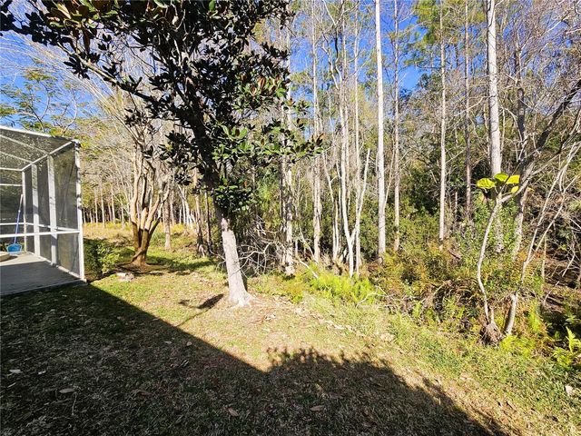 10441 GREENDALE DRIVE, Tampa, FL 33626