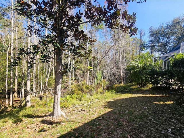 10441 GREENDALE DRIVE, Tampa, FL 33626