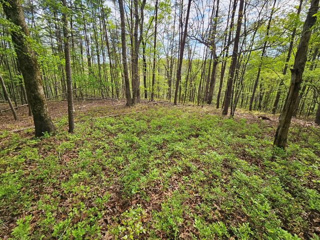 0 Talc Mine Road, Jasper, GA 30143