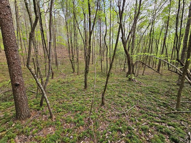 0 Talc Mine Road, Jasper, GA 30143