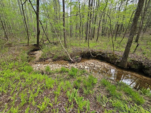 0 Talc Mine Road, Jasper, GA 30143