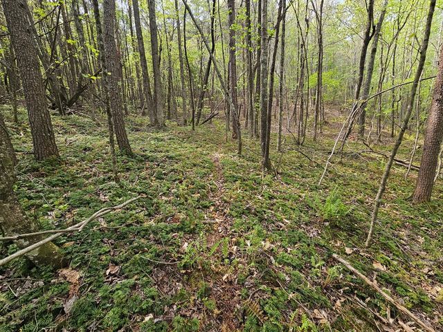 0 Talc Mine Road, Jasper, GA 30143