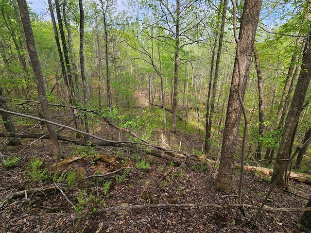 0 Talc Mine Road, Jasper, GA 30143