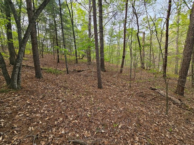 0 Talc Mine Road, Jasper, GA 30143