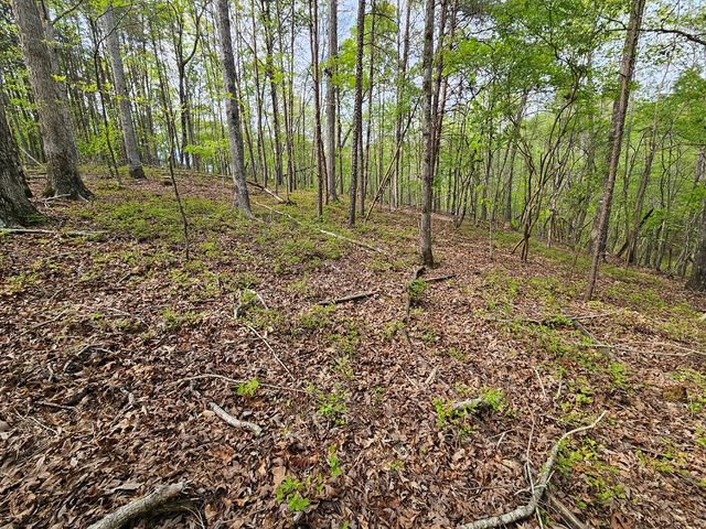 0 Talc Mine Road, Jasper, GA 30143