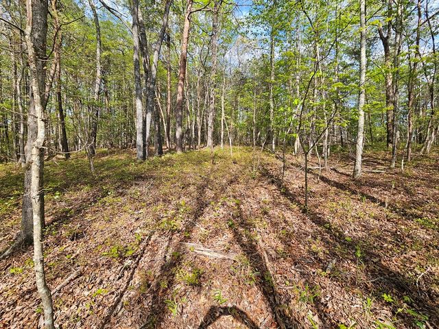 0 Talc Mine Road, Jasper, GA 30143