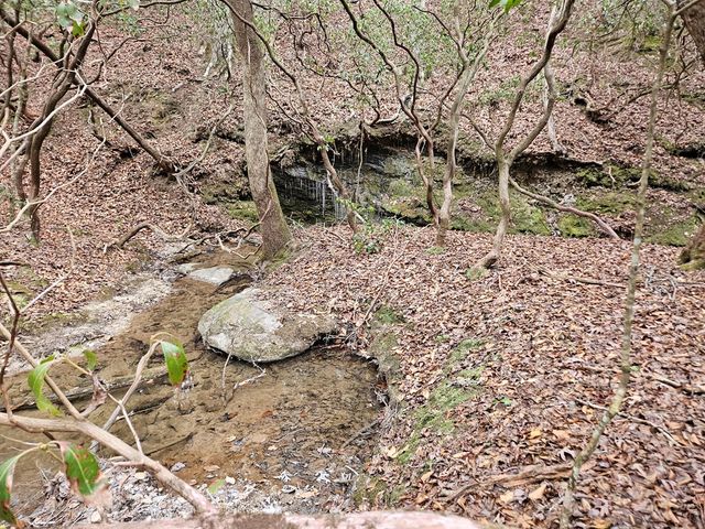 0 Talc Mine Road, Jasper, GA 30143