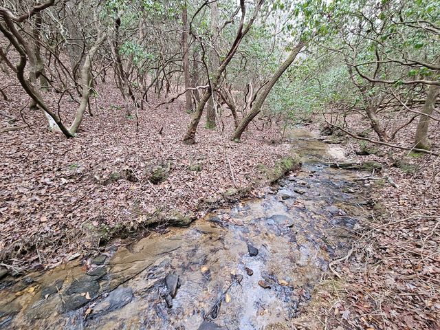 0 Talc Mine Road, Jasper, GA 30143