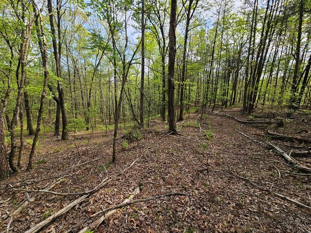 0 Talc Mine Road, Jasper, GA 30143