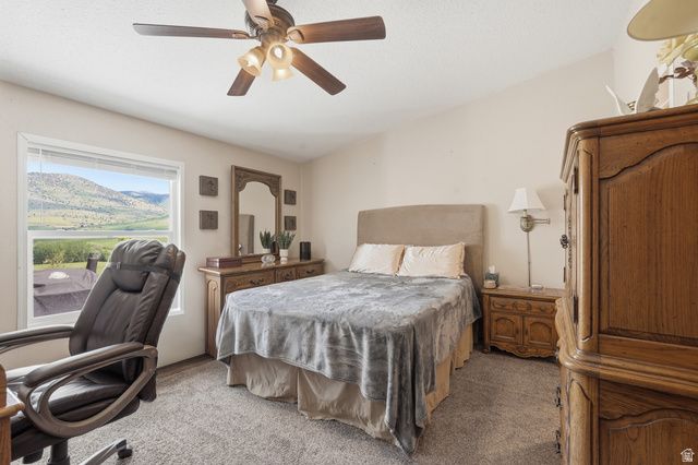 8066 N VALLEY VIEW HEIGHTS, Preston, ID 83263