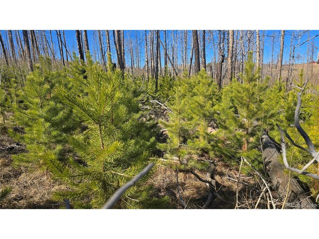 1470 Von Heyl Ln, Fort Garland, CO 81133