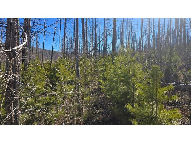 1470 Von Heyl Ln, Fort Garland, CO 81133