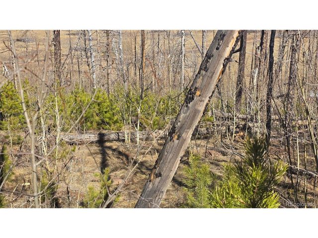 1470 Von Heyl Ln, Fort Garland, CO 81133