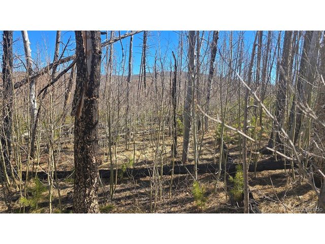 1470 Von Heyl Ln, Fort Garland, CO 81133
