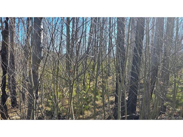 1470 Von Heyl Ln, Fort Garland, CO 81133