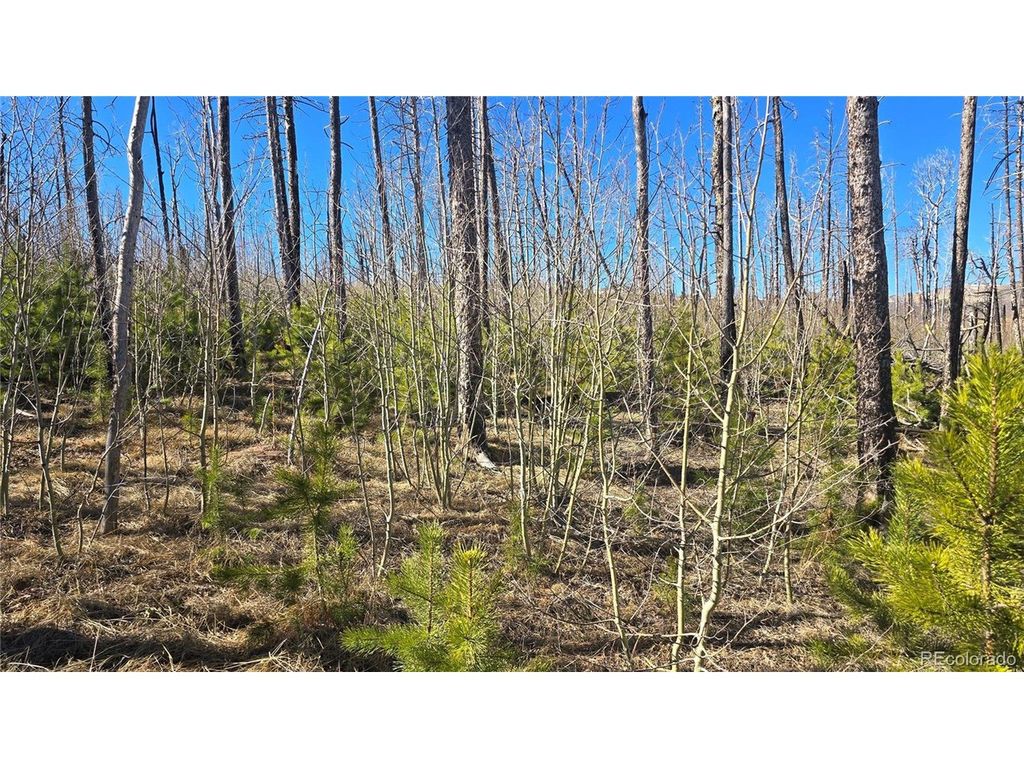 1470 Von Heyl Ln, Fort Garland, CO 81133