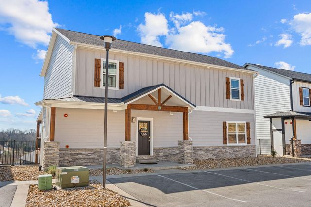 128 Chateau Mountain Court, Branson, MO 65616