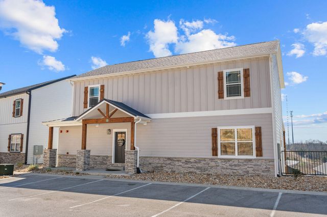 128 Chateau Mountain Court, Branson, MO 65616