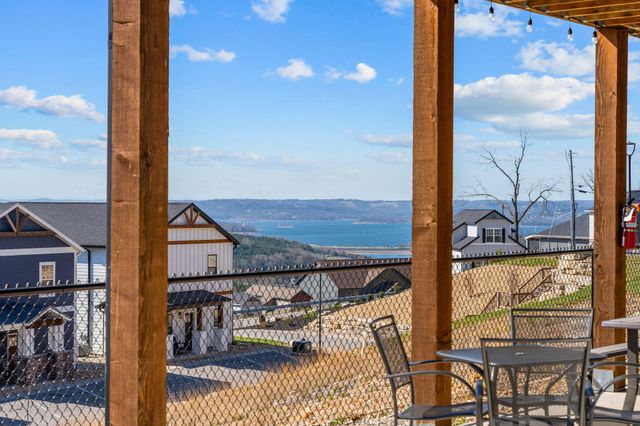 128 Chateau Mountain Court, Branson, MO 65616