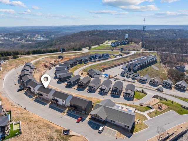 128 Chateau Mountain Court, Branson, MO 65616