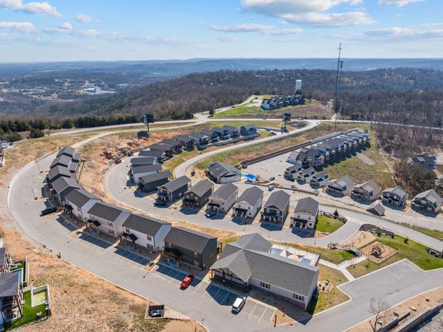 128 Chateau Mountain Court, Branson, MO 65616