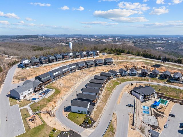 128 Chateau Mountain Court, Branson, MO 65616